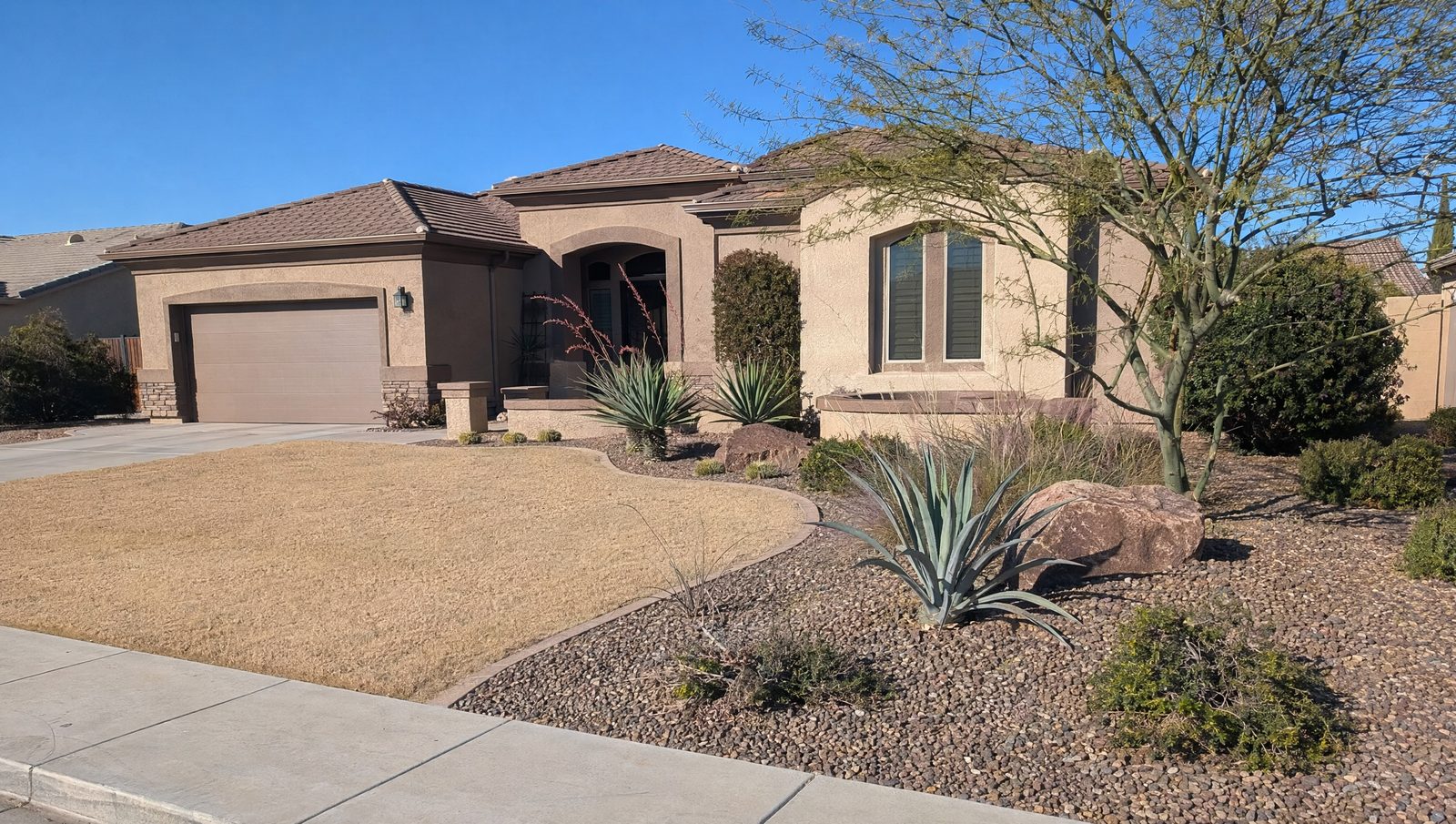 Dormant tan Bermuda grass beside a desert xeriscape bed in winter