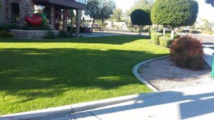 Chilis Front Landscape