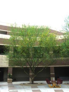 ASU Commercial Maintenance Services