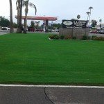 Al Moore Mortuary Turf Landscaping