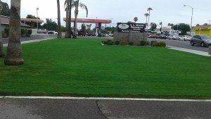 Al Moore Mortuary Turf Landscaping