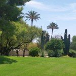Quality Lawn Care Services