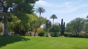 Quality Lawn Care Services