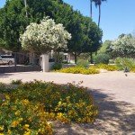 Beautiful Residential Lanscaping
