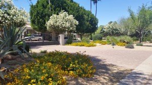 Beautiful Residential Lanscaping
