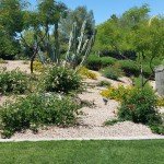 Home Yard Care Services
