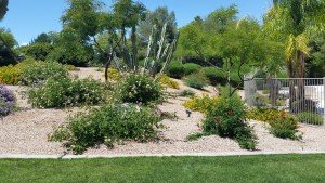 Home Yard Care Services