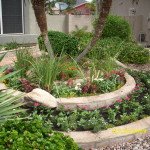 Landscaping Designs