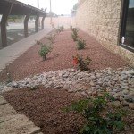 Commercial Landscaping