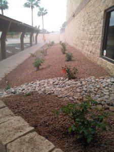 Commercial Landscaping