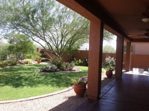 Home Yard Maintenance Care