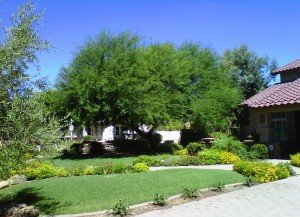 Quality Yard Maintenance