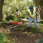 Commercial Landscape Maintenance