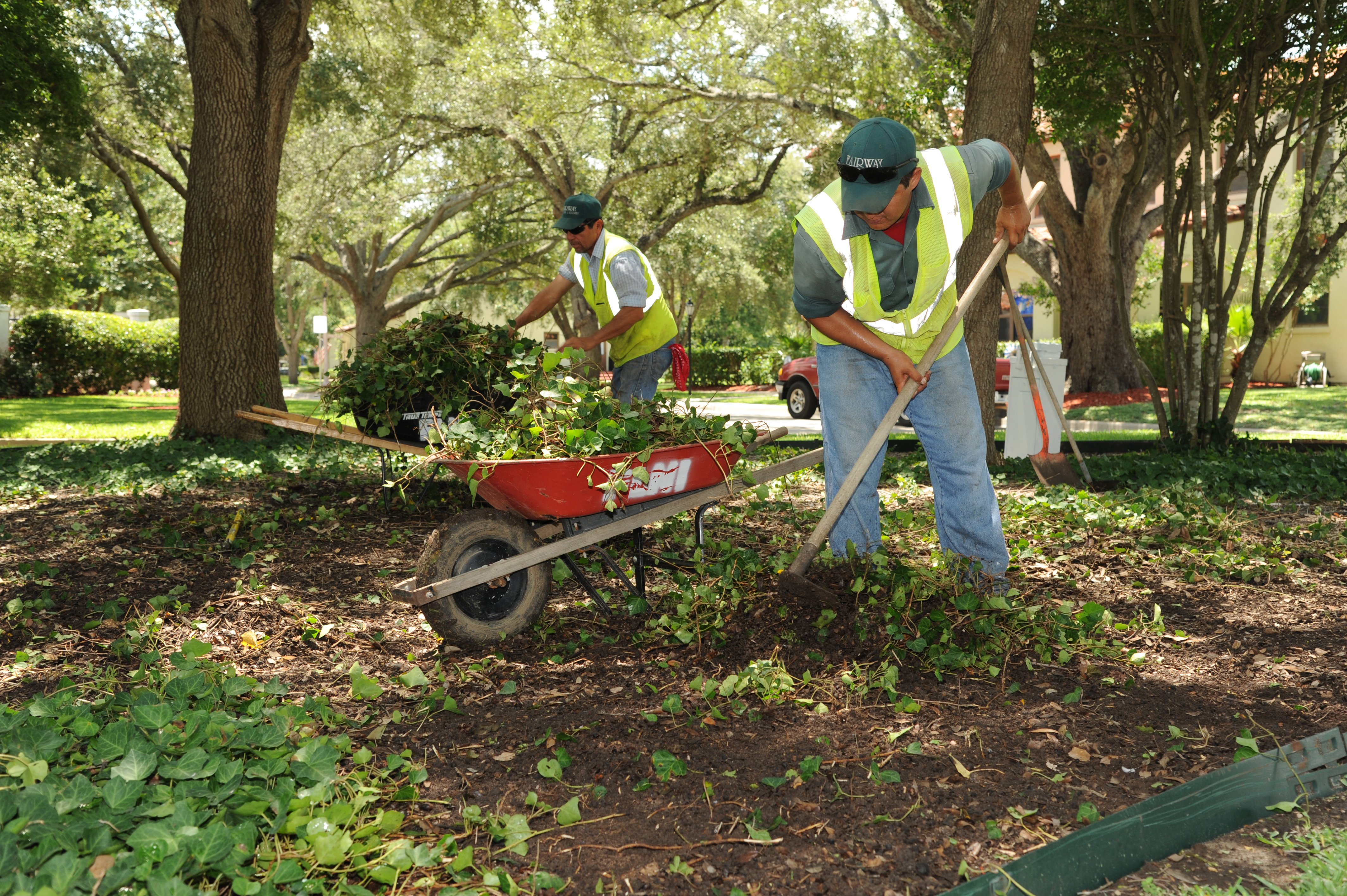 Commercial Landscape Maintenance