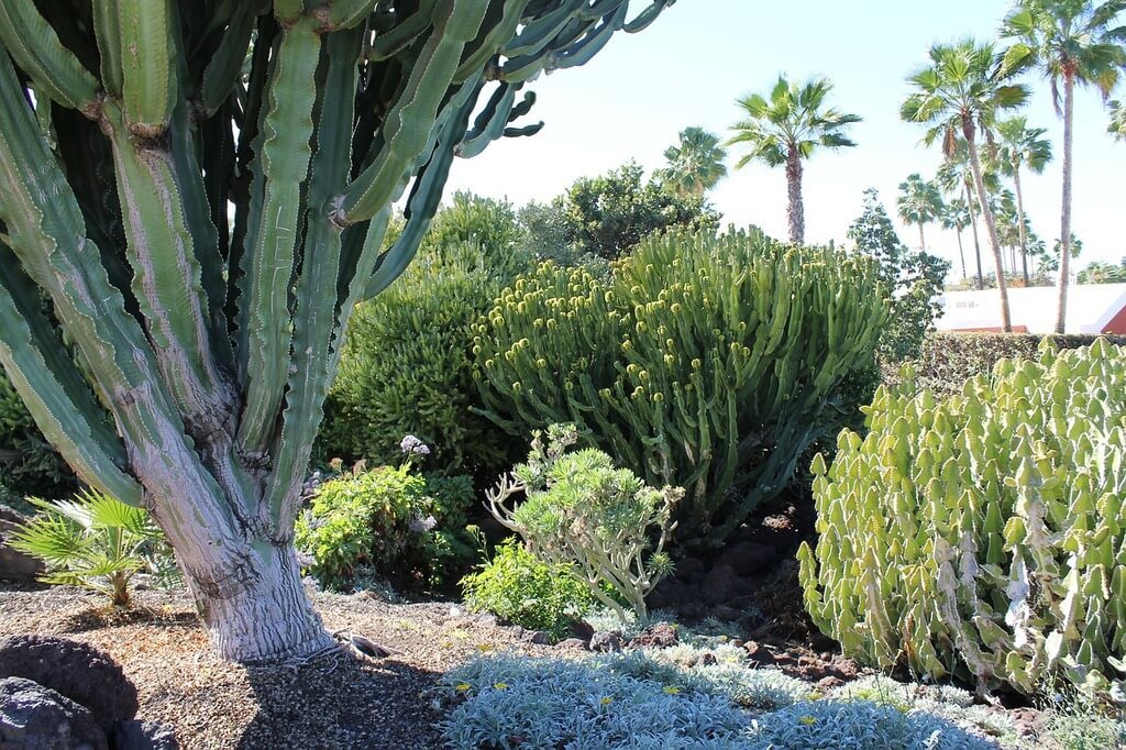Landscape Design Style