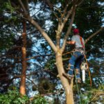 Commercial Landscaping Services