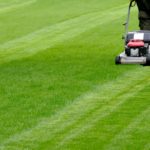 Landscaping Services
