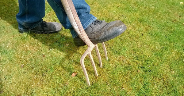 commercial landscapers