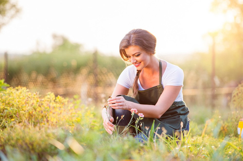 landscaping services