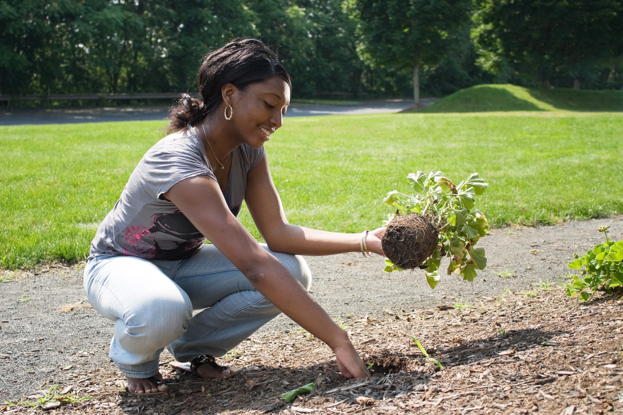 residential landscaping service