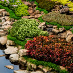 Arizona Landscaping
