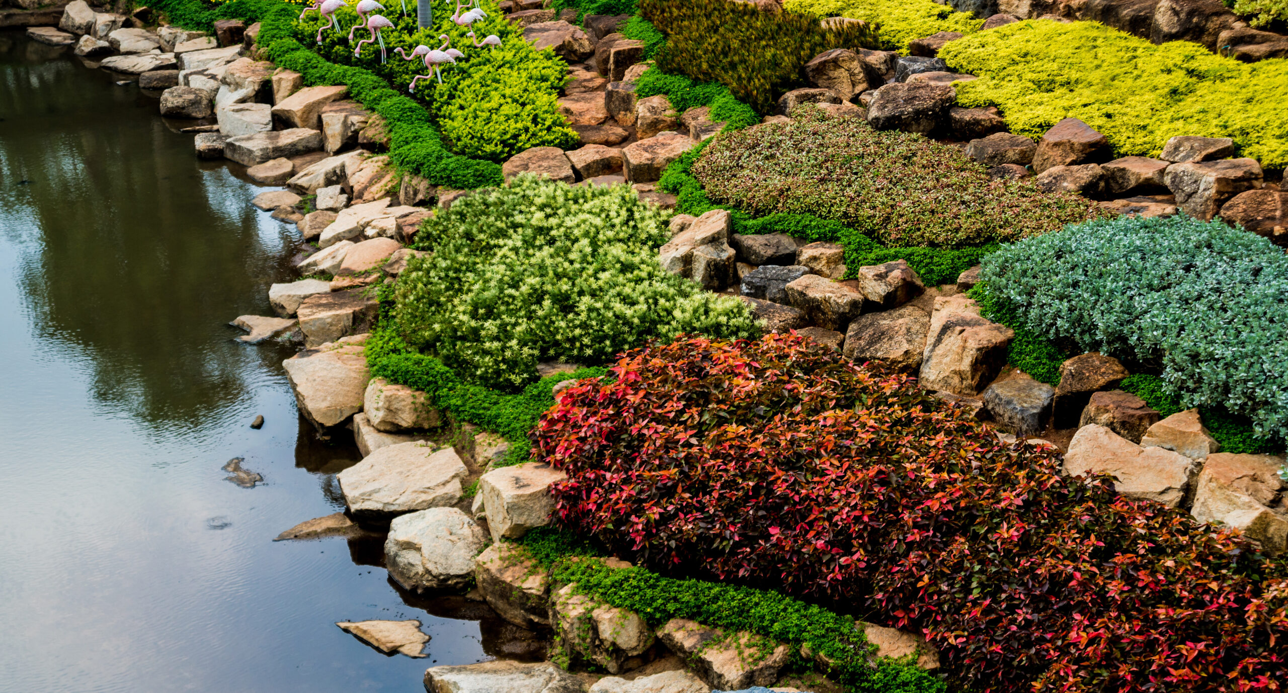 Arizona Landscaping